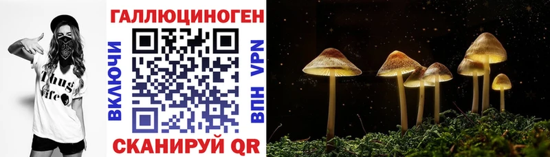 Псилоцибиновые грибы Psilocybe  Духовщина 