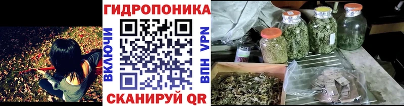 KRAKEN зеркало  Духовщина  Бошки Шишки SATIVA & INDICA 